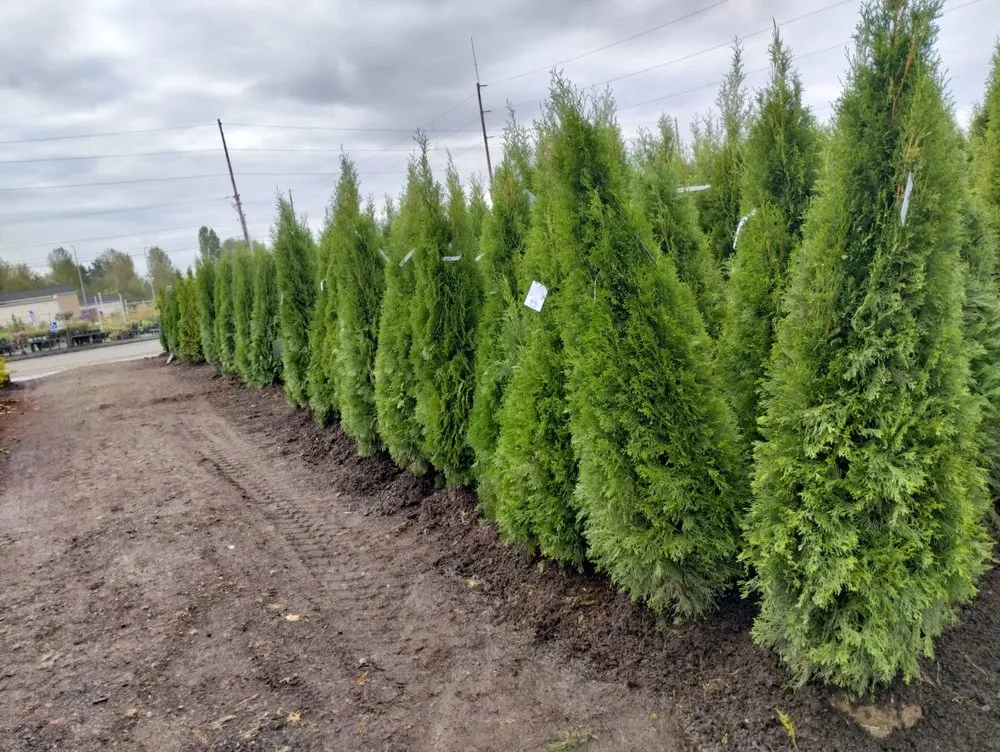 Local garden landscaping near you in Belfair, WA by Charley Gaspar Landscaping