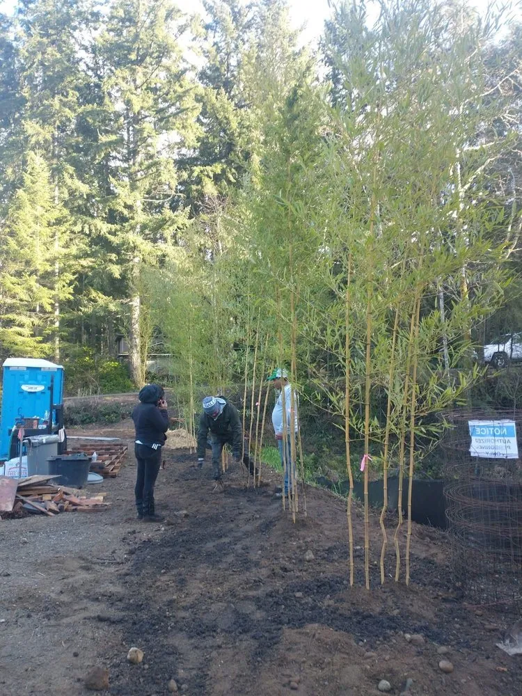 Local landscaping services in Belfair, WA - Charley Gaspar Landscaping