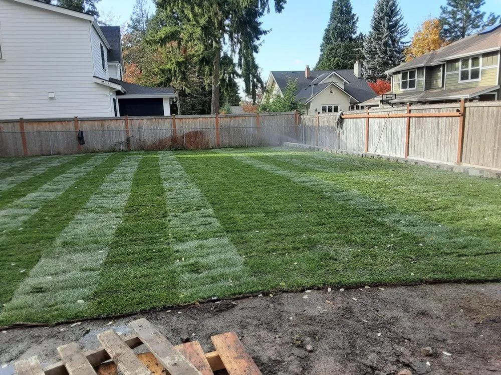 Reliable yard cleanup service for homes across Belfair, WA - Charley Gaspar Landscaping