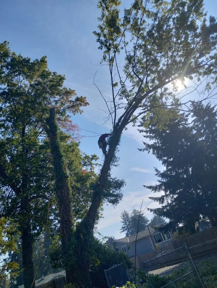 Local garden landscaping for homes in Belfair, WA by Charley Gaspar Landscaping