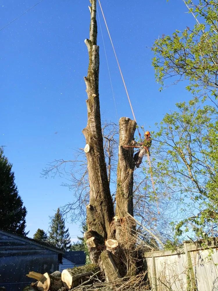 Professional yard maintenance experts serving Belfair, WA - Charley Gaspar Landscaping