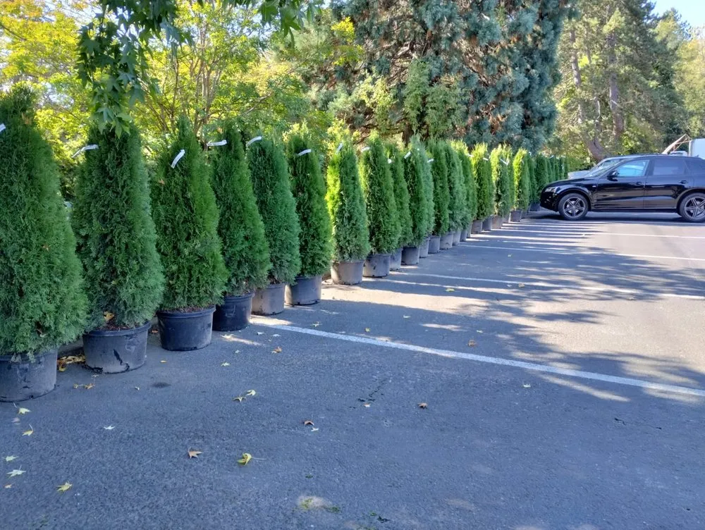 Expert yard maintenance experts serving Belfair, WA - Charley Gaspar Landscaping