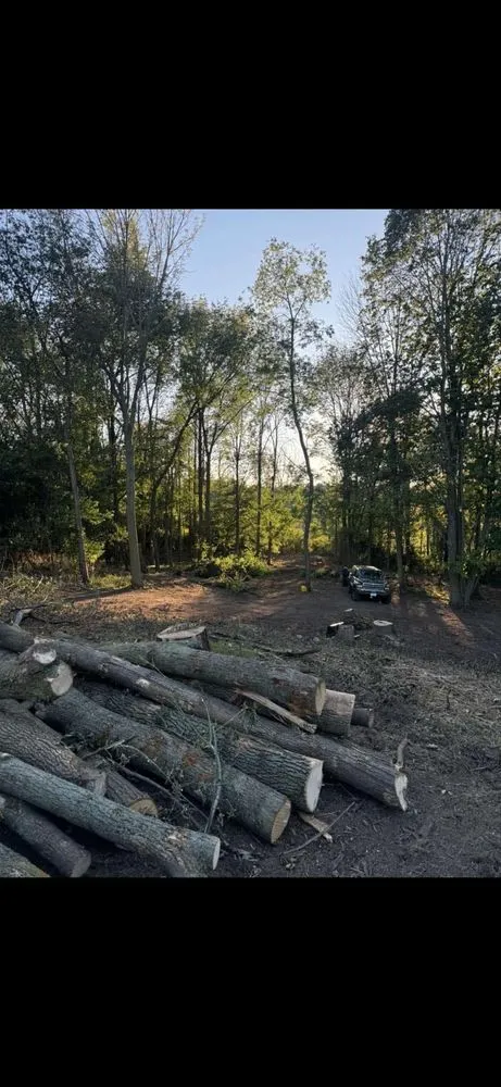 Local yard maintenance for year-round maintenance in Manitowoc, WI by Charley Services