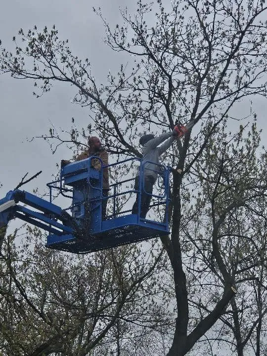 Reliable yard cleanup service for outdoor upgrades across Manitowoc, WI - Charley Services