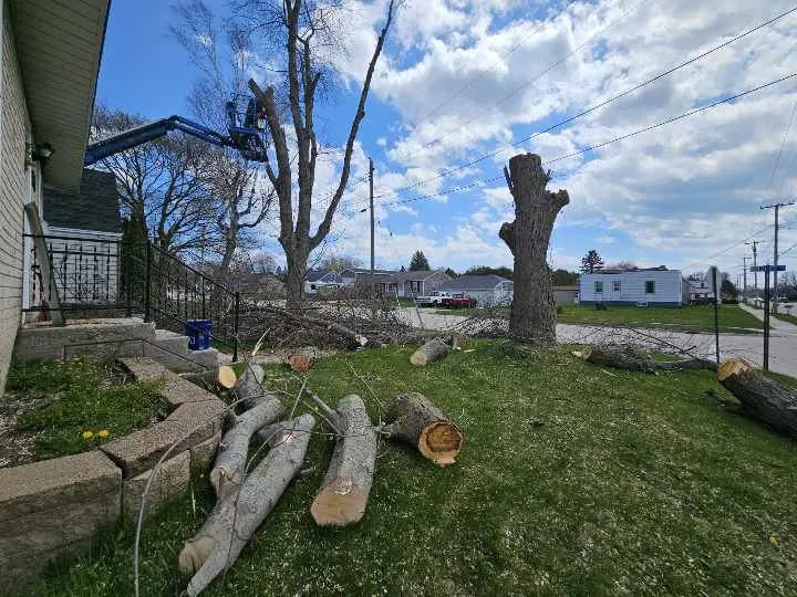 Trusted yard cleanup service experts serving Manitowoc, WI - Charley Services