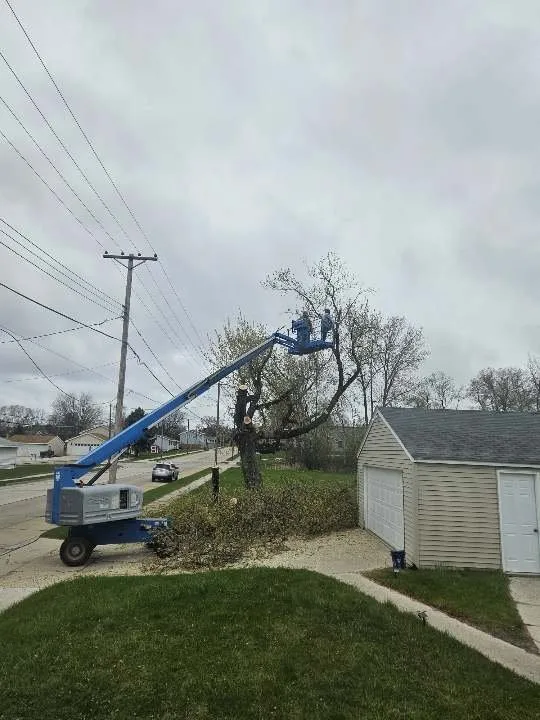 Professional garden landscaping experts serving Manitowoc, WI - Charley Services