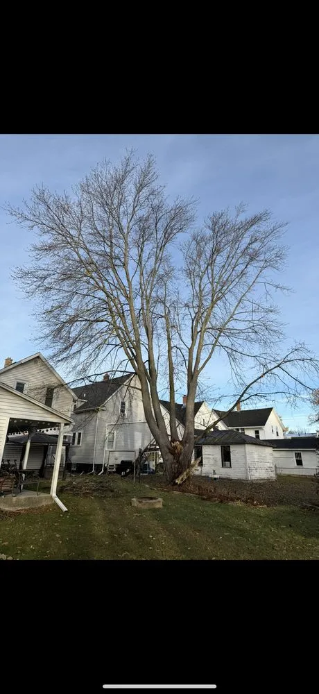 Affordable yard cleanup service for year-round maintenance in Manitowoc, WI by Charley Services