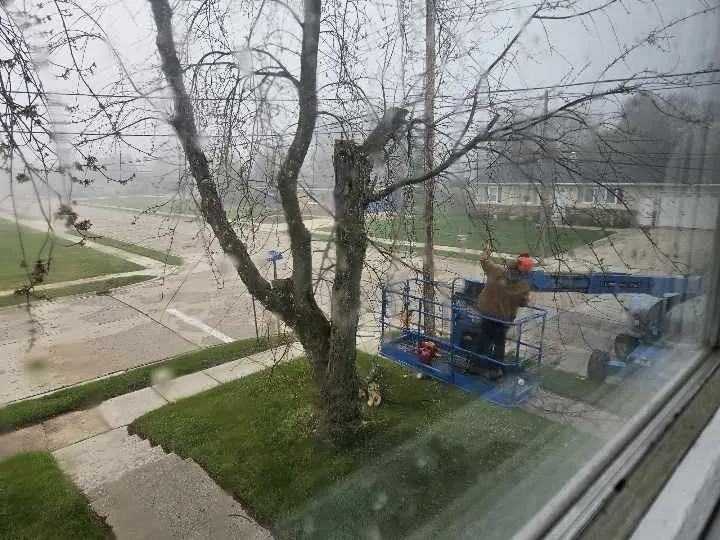 Trusted yard cleanup service in Manitowoc, WI by Charley Services