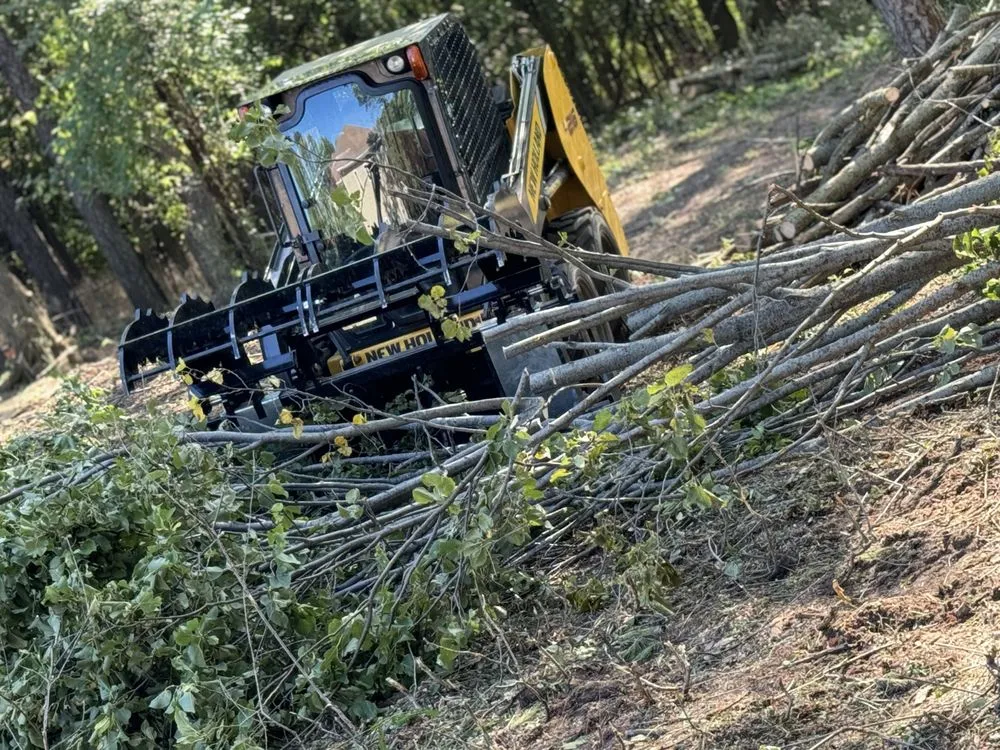 Professional lawn care service for beautiful yards across Manitowoc, WI - Charley Services