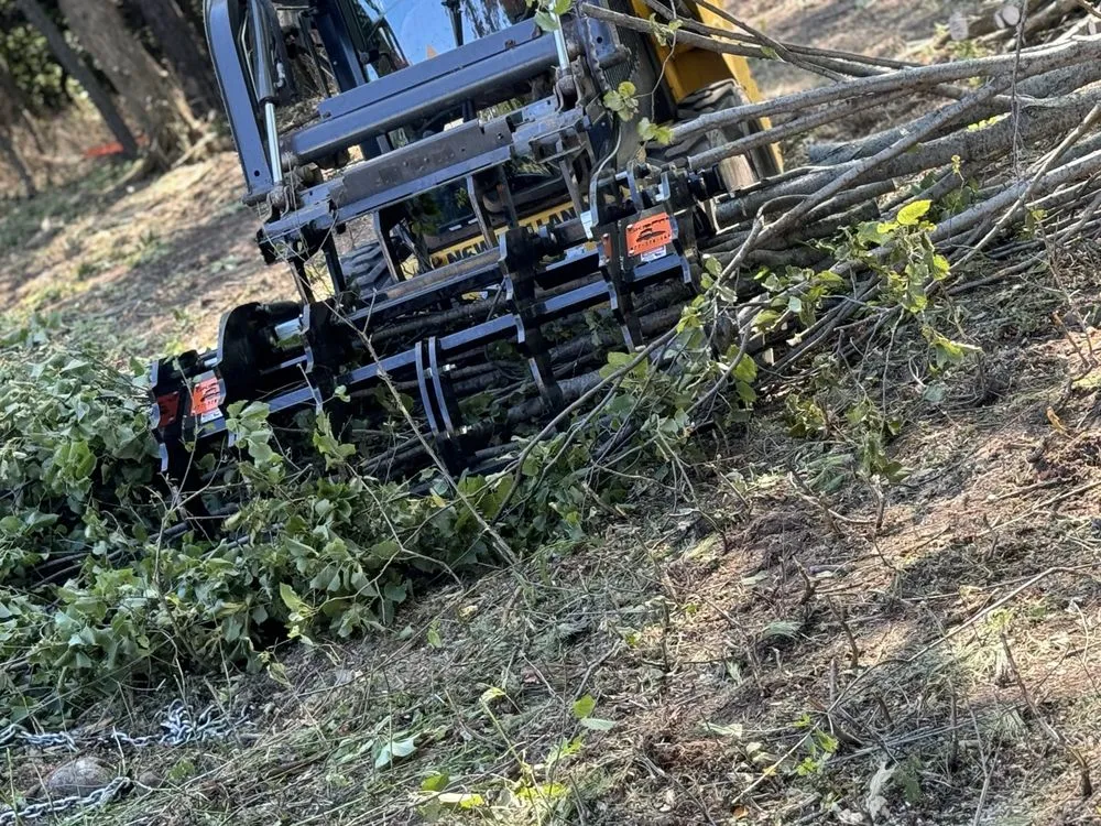 Custom lawn care service in Manitowoc, WI - Charley Services