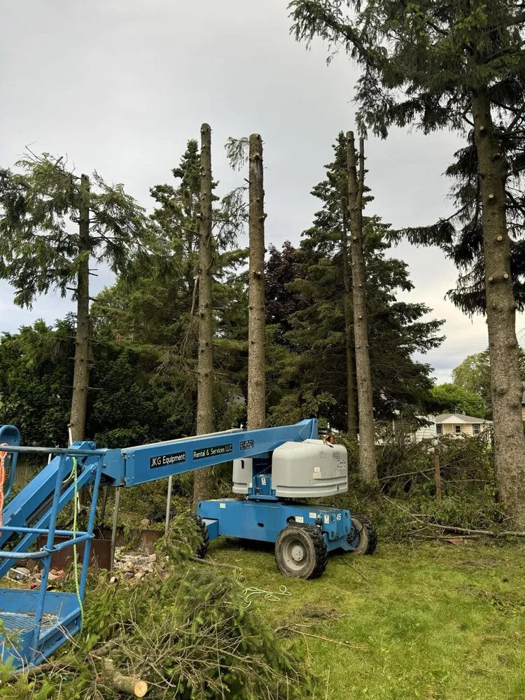 Local outdoor landscaping with custom design across Manitowoc, WI - Charley Services