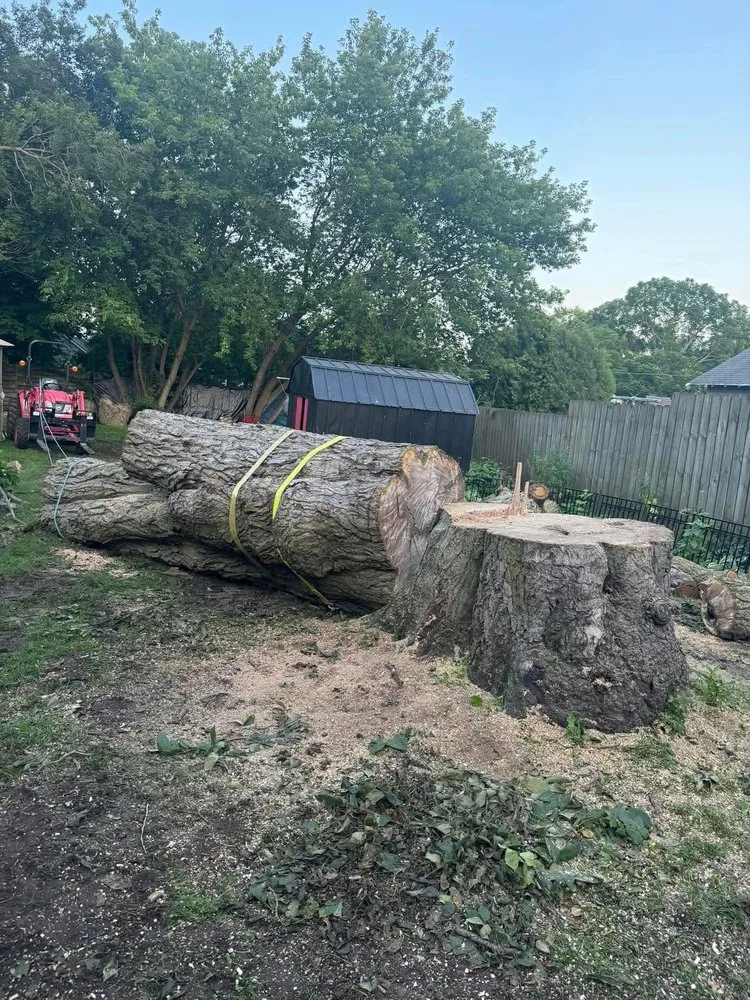 Top-rated garden landscaping for residential properties across Manitowoc, WI - Charley Services