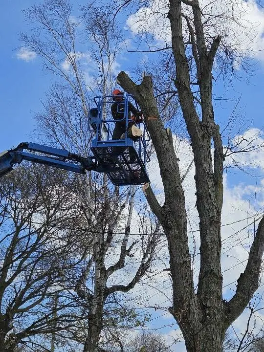 Trusted lawn care service for homes in Manitowoc, WI by Charley Services