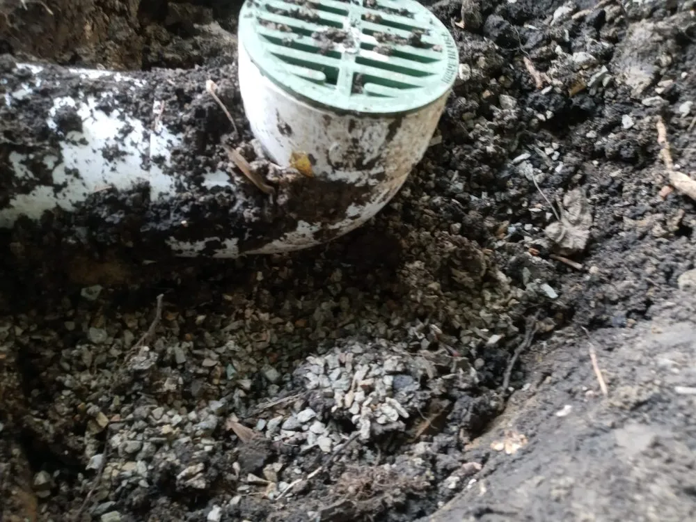 Expert outdoor landscaping in West Chicago, IL by Charlie & FM