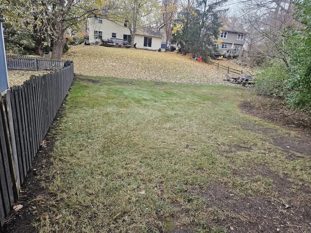 Affordable lawn care service for homes across West Chicago, IL - Charlie & FM