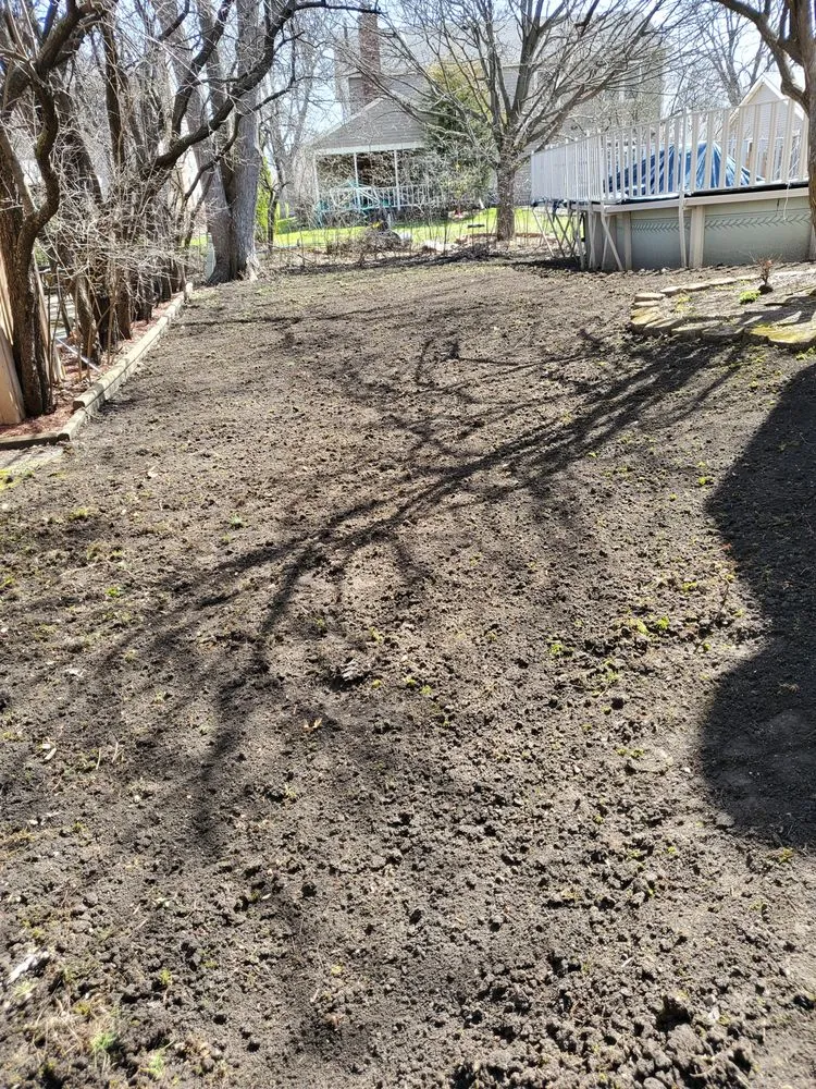 Professional lawn care service in West Chicago, IL - Charlie & FM