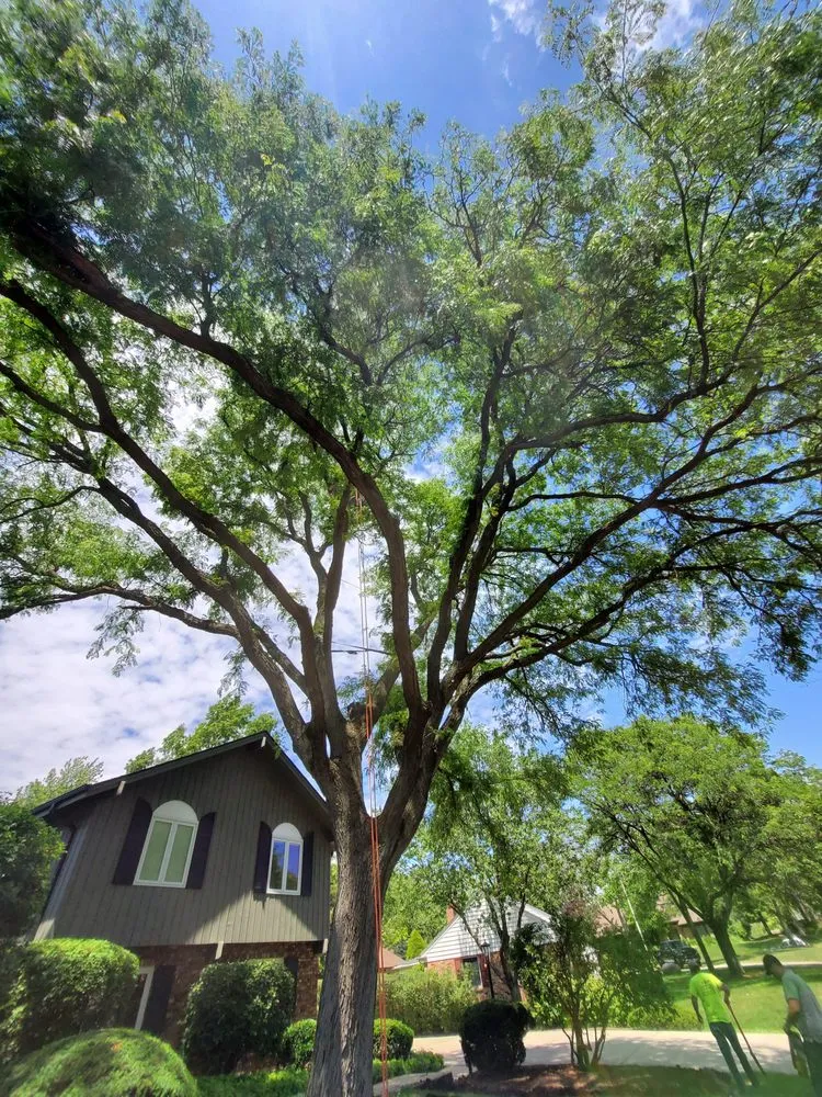 Reliable outdoor landscaping for beautiful yards across West Chicago, IL - Charlie & FM