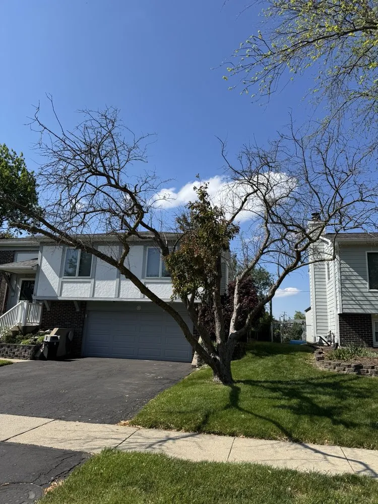 Professional landscape installation experts serving West Chicago, IL - Charlie & FM