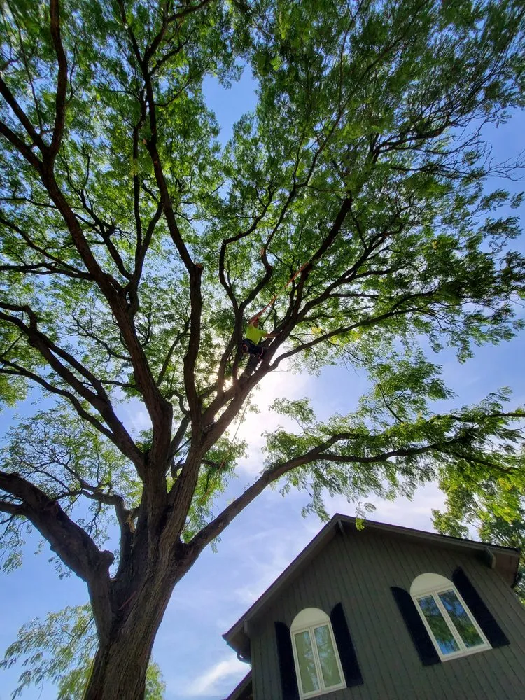 Professional landscaping services for homes in West Chicago, IL by Charlie & FM