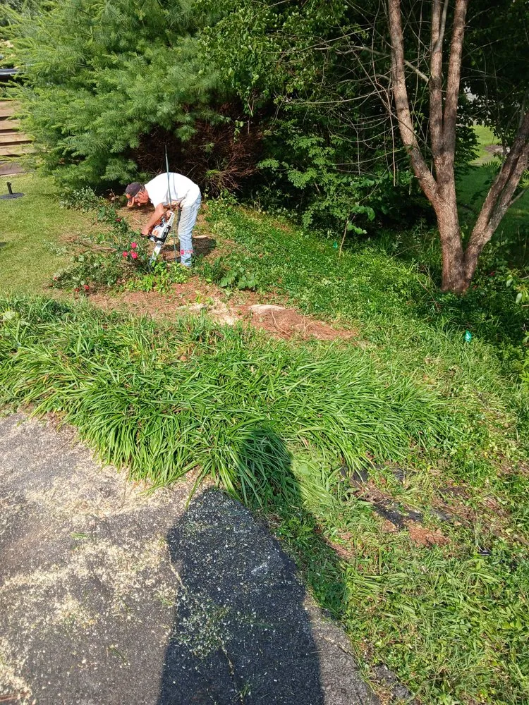 Top-rated lawn care service near you in Bristol, TN by Charlie & Mindy's Jack's of All Trades