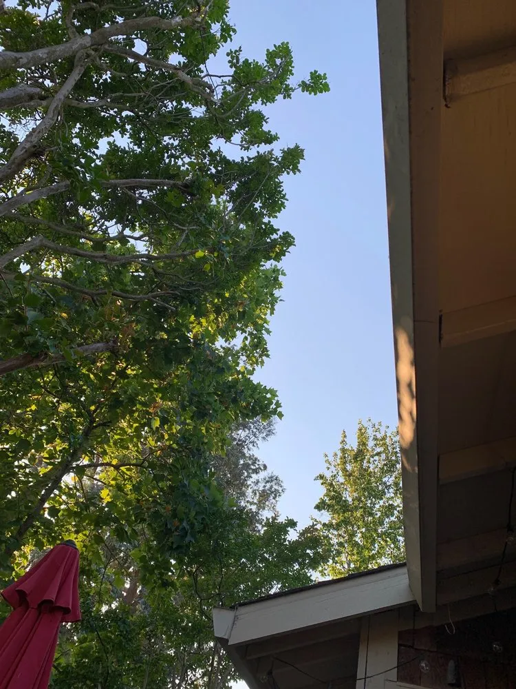 Custom yard maintenance for outdoor upgrades in Petaluma, CA by Charlie Handyman