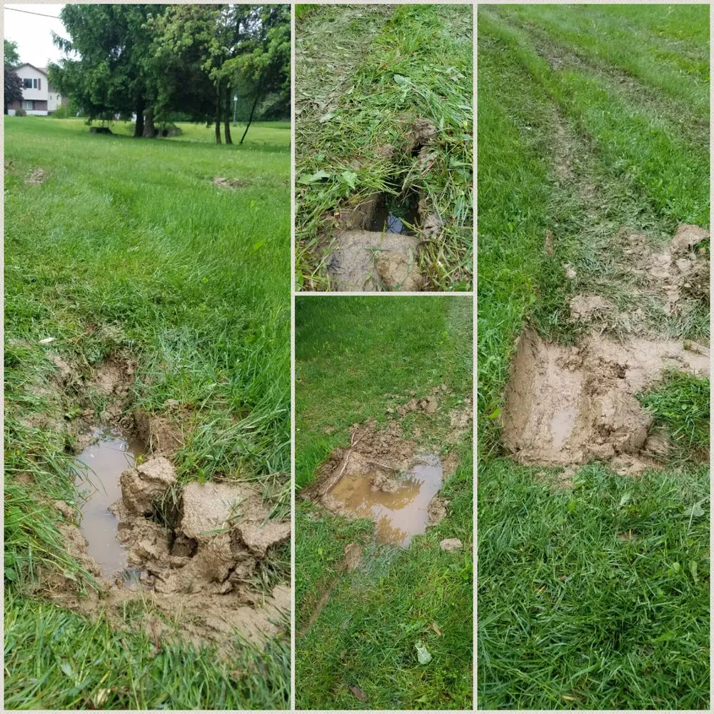 Affordable landscaping services in Bangor, PA - Charlie Nansteel Tree & Excavation