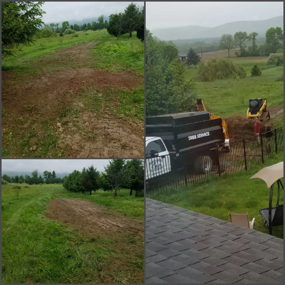 Reliable yard cleanup service for homes across Bangor, PA - Charlie Nansteel Tree & Excavation