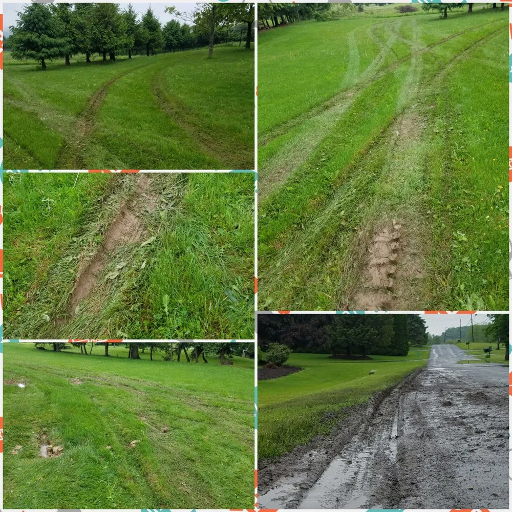 Trusted lawn care service in Bangor, PA - Charlie Nansteel Tree & Excavation