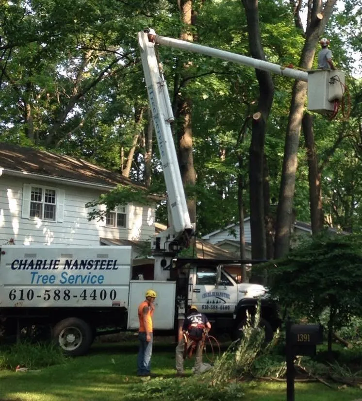 Top-rated yard maintenance in Bangor, PA - Charlie Nansteel Tree & Excavation