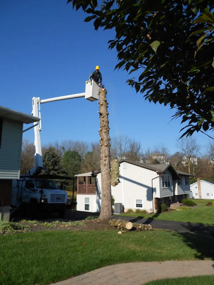 Top-rated yard cleanup service for homes across Bangor, PA - Charlie Nansteel Tree & Excavation