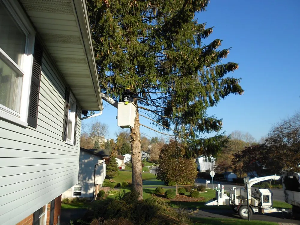 Reliable landscaping services for outdoor upgrades in Bangor, PA by Charlie Nansteel Tree & Excavation