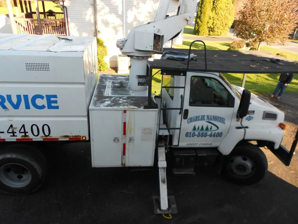 Expert landscape installation for beautiful yards across Bangor, PA - Charlie Nansteel Tree & Excavation