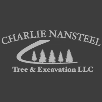 Top-rated outdoor landscaping for outdoor upgrades across Bangor, PA - Charlie Nansteel Tree & Excavation