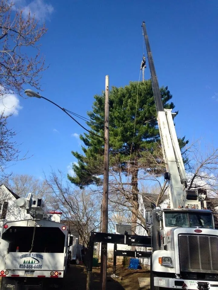 Affordable landscape installation for residential properties across Bangor, PA - Charlie Nansteel Tree & Excavation