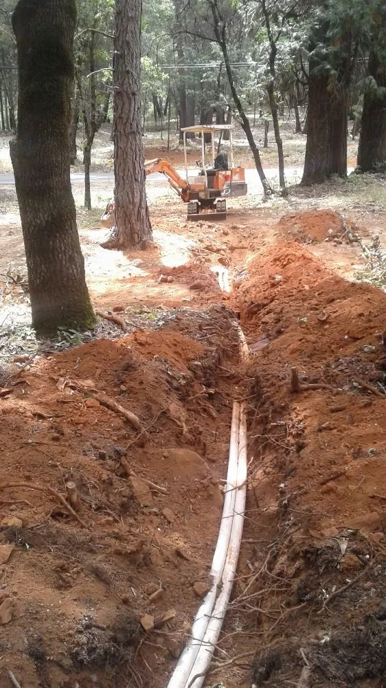 Professional lawn care service in Cedar Ridge, CA by Charlie The Trencher