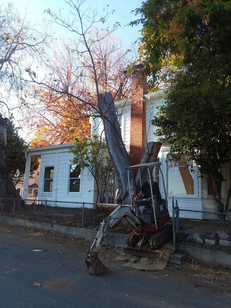 Custom residential landscaping for outdoor upgrades across Cedar Ridge, CA - Charlie The Trencher