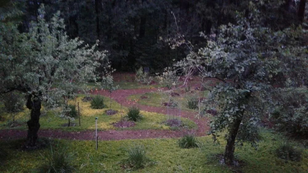 Top-rated garden landscaping for outdoor upgrades in Cedar Ridge, CA by Charlie The Trencher