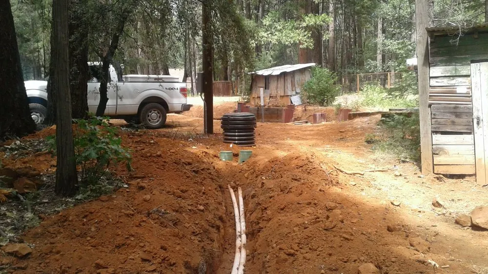 Affordable yard cleanup service in Cedar Ridge, CA by Charlie The Trencher