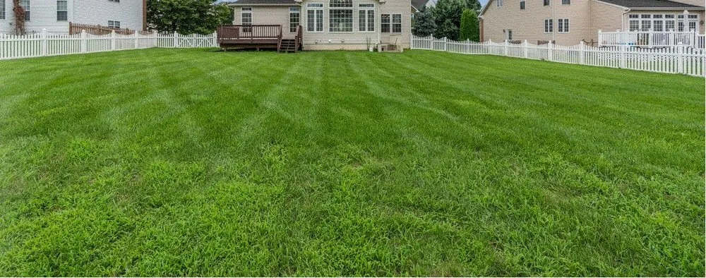Reliable yard cleanup service in Knightdale, NC by Charlie's Just Grass