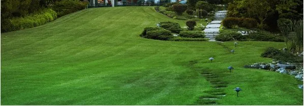 Charlie's Just Grass Logo