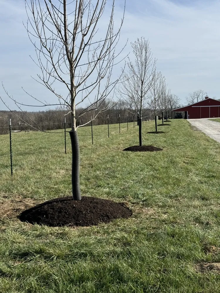 Affordable lawn care service in Kirkwood, MO by Charlie's landscaping