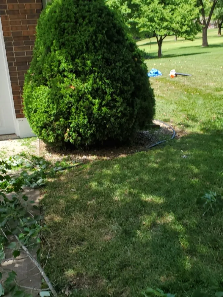 Professional residential landscaping experts serving Lee's Summit, MO - Charlie's Landscaping