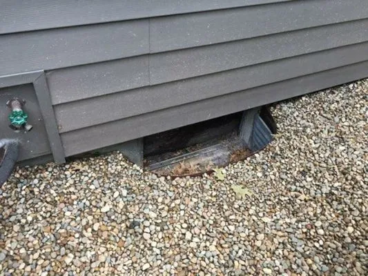 Charlie's Landscaping Logo