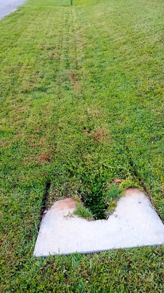 Local lawn mowing service for residential properties across Sebastian, FL - Charlie's Landscaping