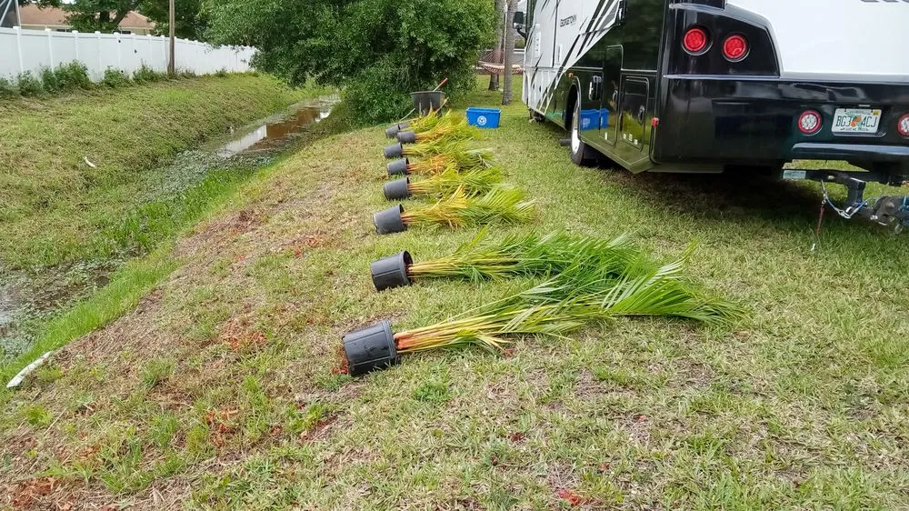 Professional garden landscaping with custom design across Sebastian, FL - Charlie's Landscaping