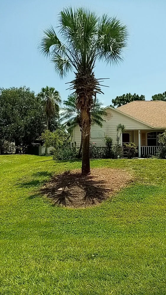 Expert yard maintenance near you across Sebastian, FL - Charlie's Landscaping