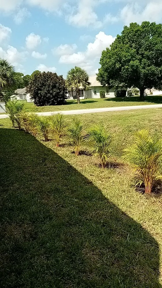 Local yard maintenance for homes in Sebastian, FL by Charlie's Landscaping