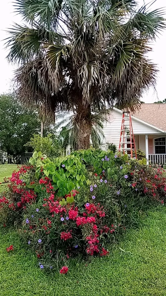 Professional outdoor landscaping in Sebastian, FL by Charlie's Landscaping