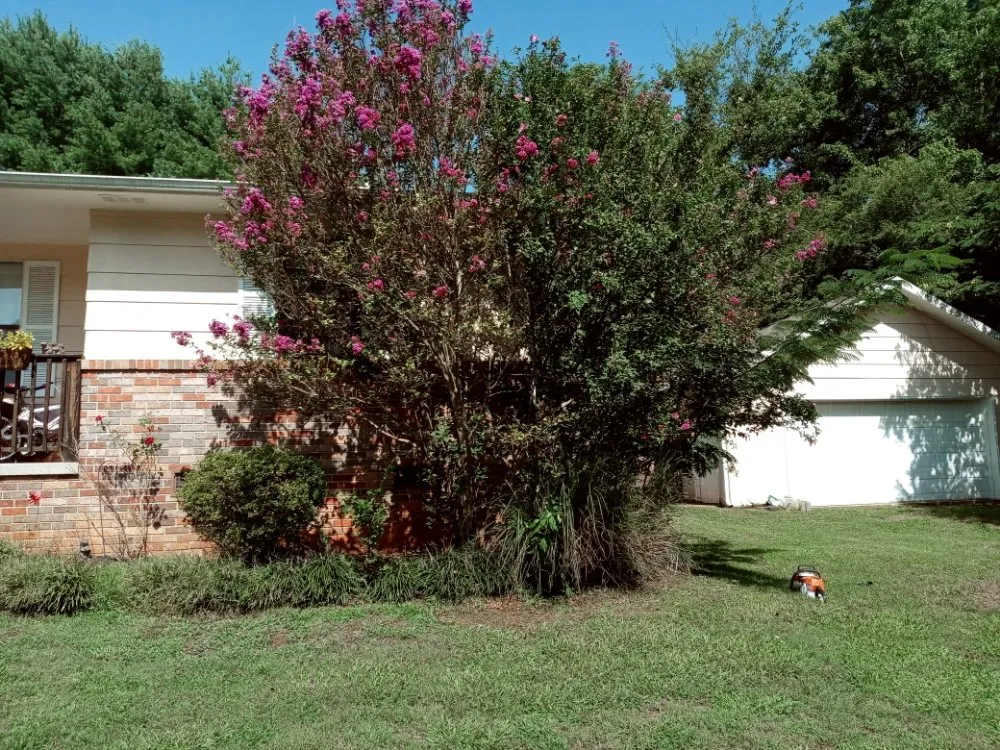 Professional yard cleanup service in Maryville, TN - Charlie's Lawn Care