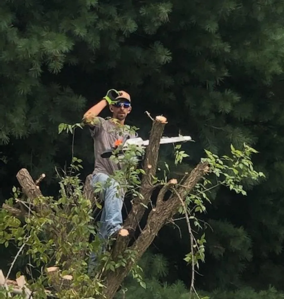 Top-rated garden landscaping in Maryville, TN by Charlie's Lawn Care